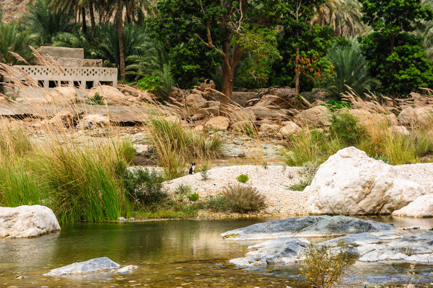 The Ultimate 2017 Oman Bucket List The Ultimate 2017 Oman Bucket List