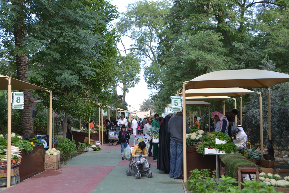 Budaiya botanical garden
