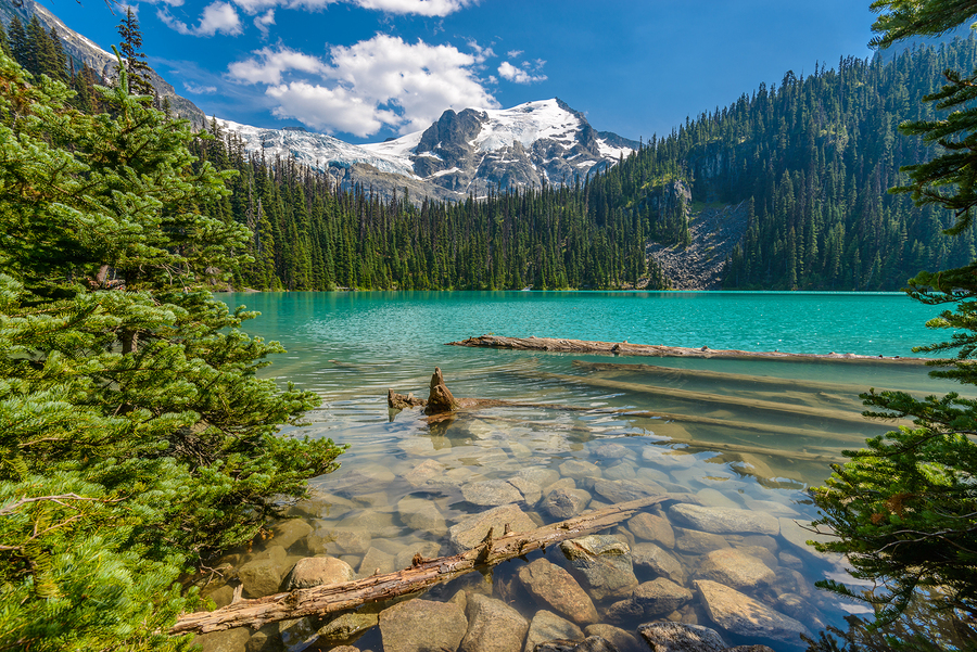 The World’s 10 Happiest Countries