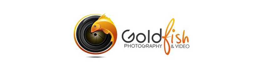 Goldfish Photography Goldfish Photography